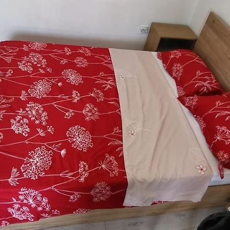 Self Check-In Studio 22 Bulevardul Oltenia ไกรโอวา ภายนอก รูปภาพ
